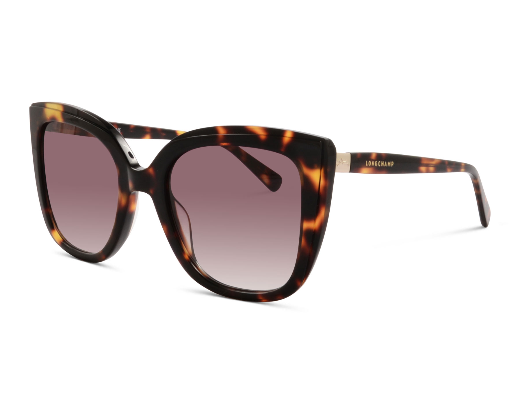 Longchamp L0689S 213 53 Braun