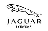 Jaguar-Brillen-LogomFNeov2jRvwUp